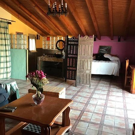 Terraza De Patria Apartman Vejer de la Frontera Kültér fotó