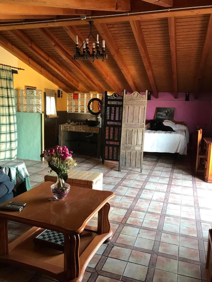 Terraza De Patria Apartman Vejer de la Frontera Kültér fotó